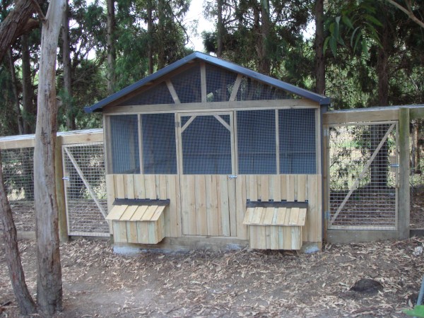 Denny Yam Plans For Chook Shed Guide