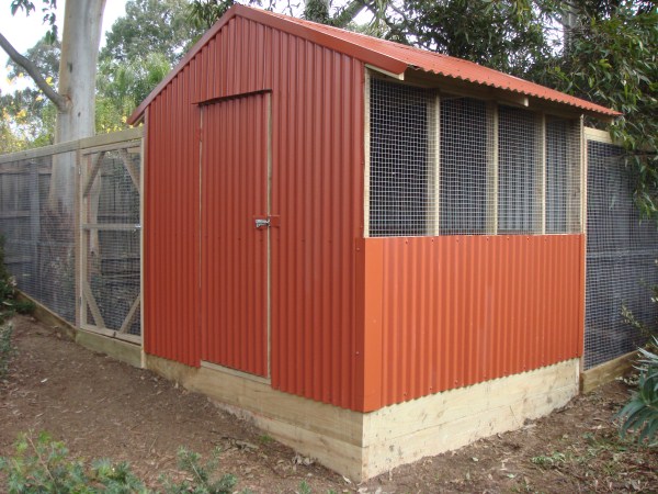 Australian Chook House Plans Learn How Build Small Chicken Coop