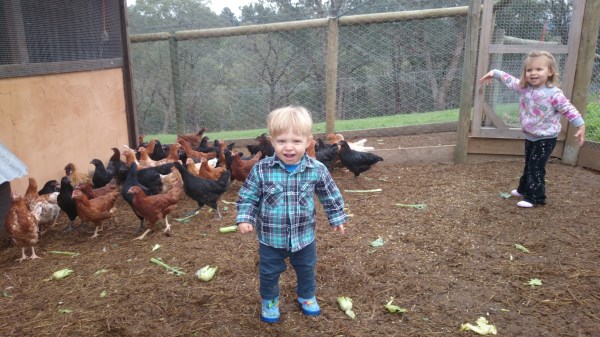 Kids and chickens at Yummy Gardens Melbourne